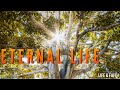 🙏🏼Bible study about Eternal Life - (Audio bible)🌟