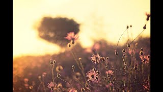 Download Lagu Ferry Corsten - Live at Ministry of Sound Sydney, 20-10-2001 MP3