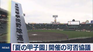 夏の甲子園大会中止へ