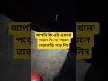 #IslamicShorts #Bangla #BanglaIslamicContent #IslamicStories #InspirationalIslam #BanglaShortFilms