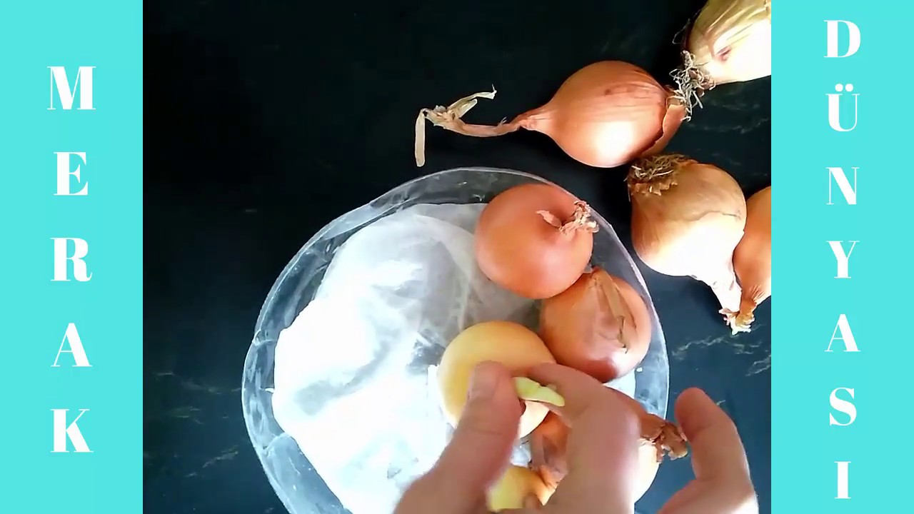 Organik yeşil soğan yetiştirmek Organik yeşil soğan yetiştirmek