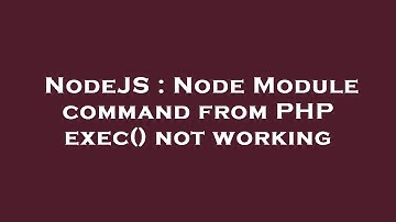 NodeJS : Node Module command from PHP exec() not working