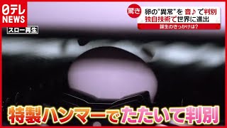 卵の“異常”を判別するスゴ技とは？ 世界が認めたニッポンの中小企業（2021年3月22日放送「news every.」より）