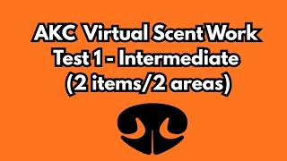 AKC Virtual Scent Work - Intermediate - Test 1  (Two Items / Two Areas)  #akcdogs #scentwork #dogs