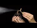 اغرب العطور فى العالم صباحك ومطرحك مع أحمد يونس