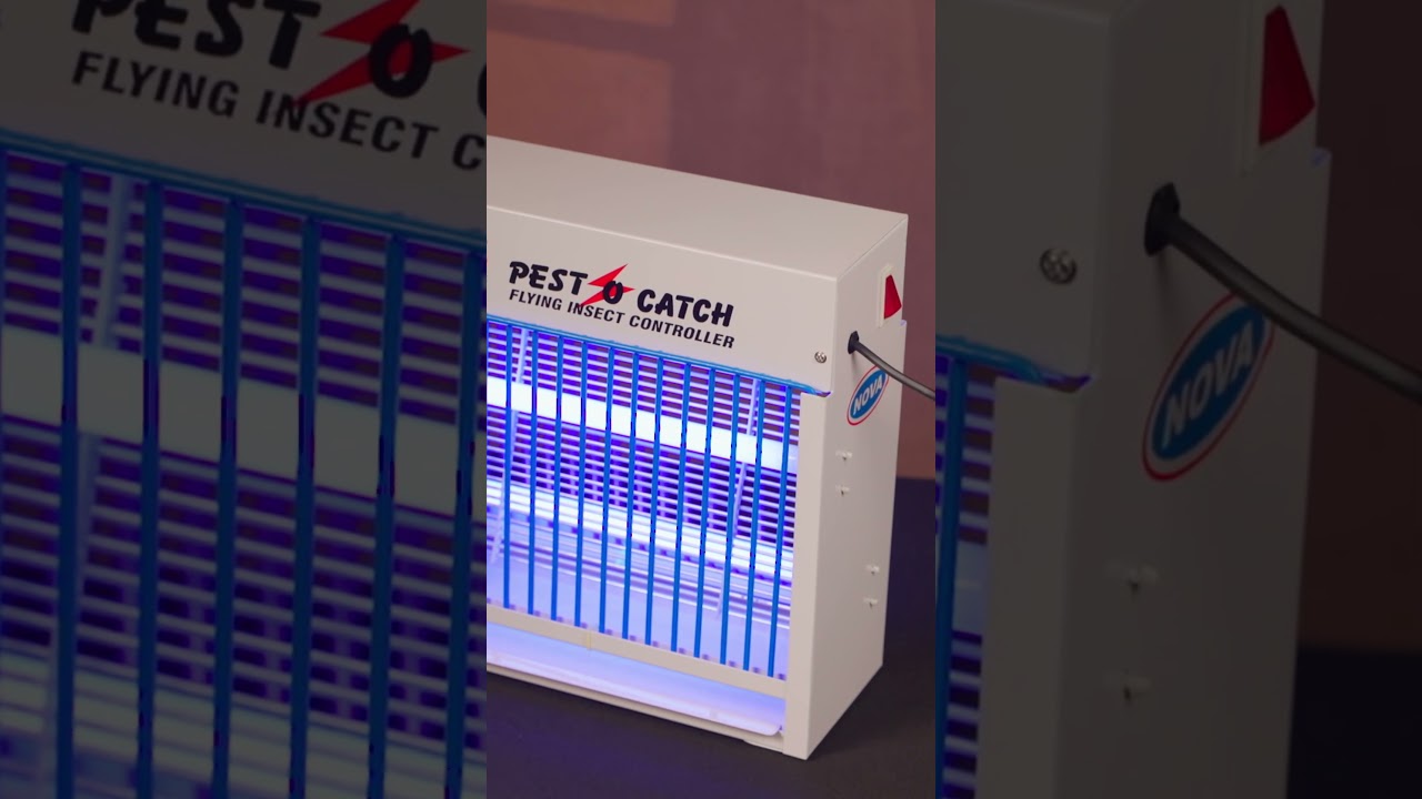 NANO Shorts Promo 3 #insectkiller #pestcontrol #coimbatore #electricinsectkiller