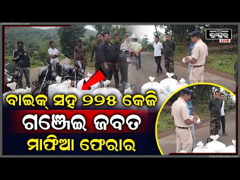 କୋରାପୁଟ ଜିଲ୍ଲା ମାଛକୁଣ୍ଡ ଥାନା ପୁଲିସକୁ ମିଳିଛି ବଡ଼ ସଫଳତା ଚୋରା ଚାଲା ବେଳେ ୩ଟି ବାଇକ ସହ ୨୨୫ କେଜି ଗଞ୍ଜେଇ ଜବତ