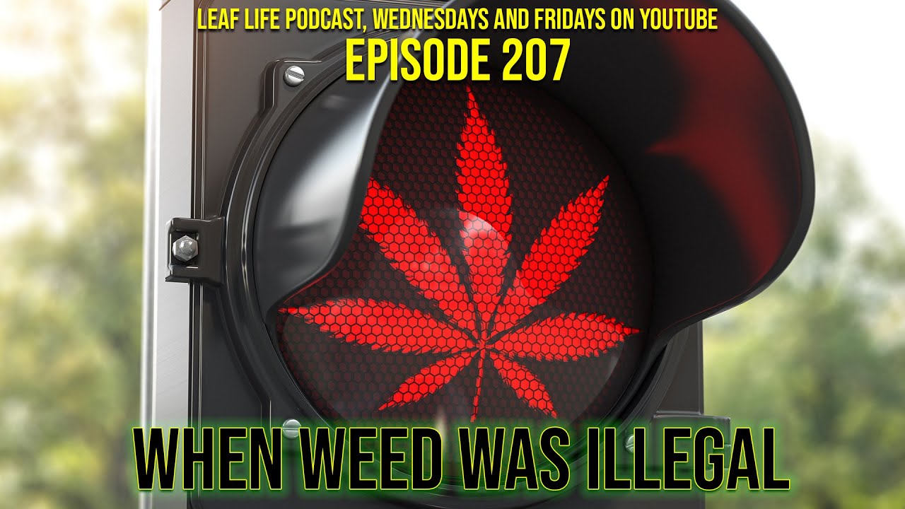 WHEN WEED WAS ILLEGAL - Leaf Life 207 - Part 2