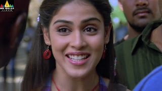 Sye Movie Scenes Genelia About Her Love Telugu Movie Scenes Sri Balaji Video