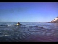 Jet ski ride with dolphins beach sea sun