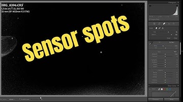 Spotting Dust on Your Mirrorless Sensor Made Easy!