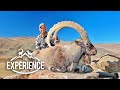 Mountain Hunting Mongolia Ibex