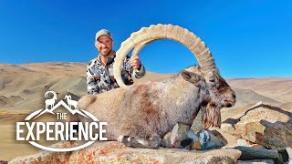 Mountain Hunting Mongolia Ibex