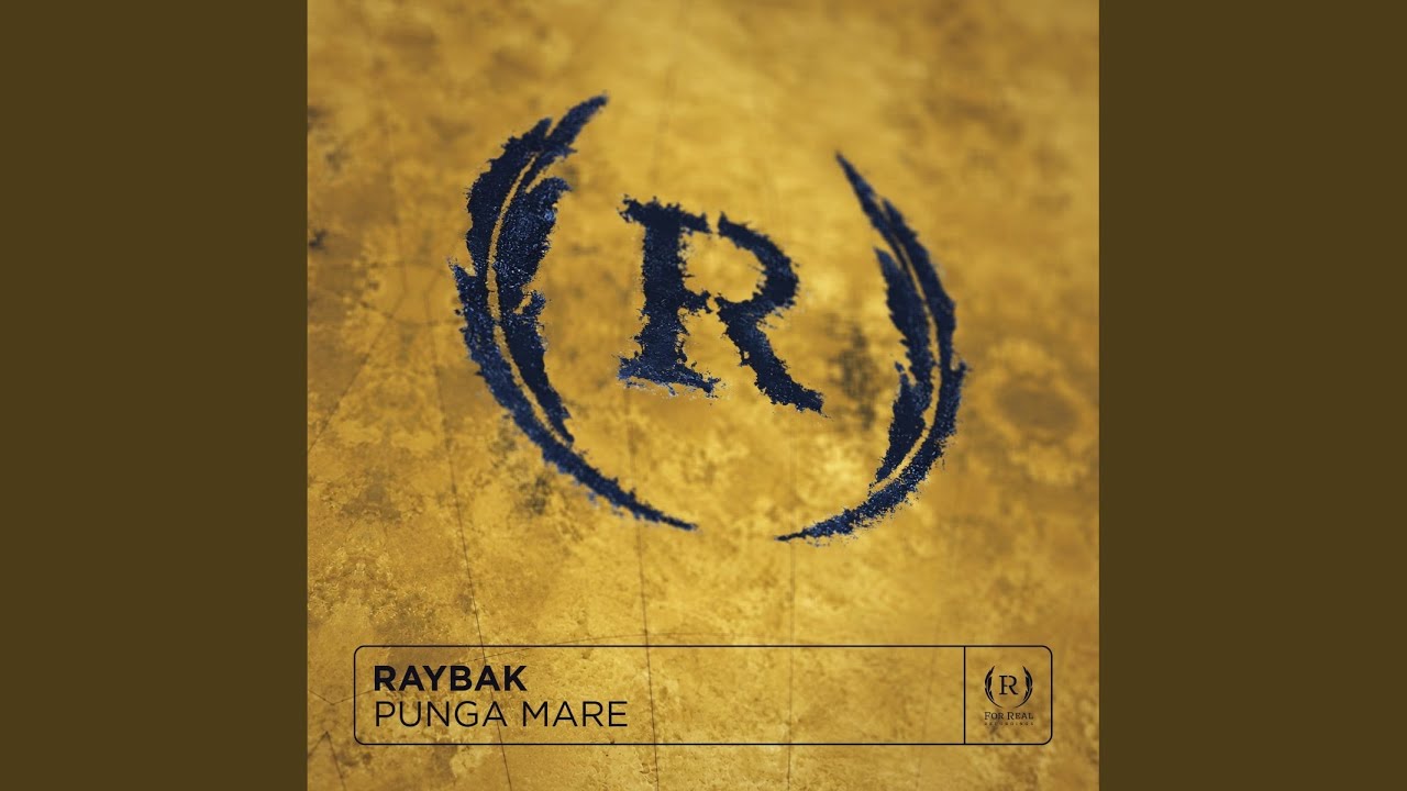 Watch Punga Mare (Original Mix) on YouTube Watch Punga Mare (Original Mix) on YouTube