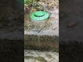Pop Up Emitter Yard Drain Pop Up Emitter Yard Drain