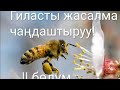 Гиласты жасалма жол м-н чаңдаштыруунун жыйынтыгы(эксперимент)