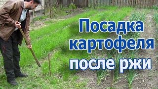 видео СЕЛЬСКОЕ ПОДВОРЬЕ    » Когда лучше перекапывать почву