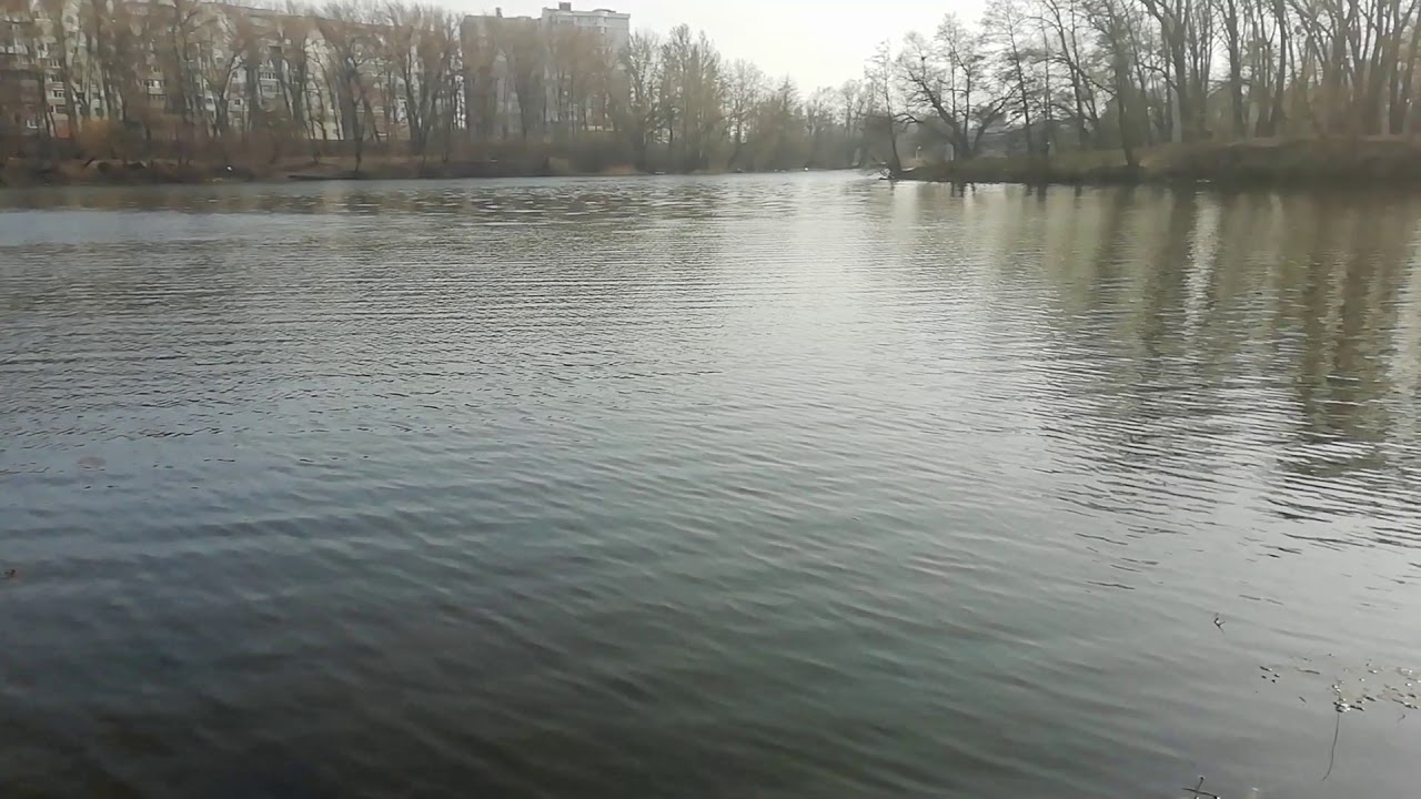 Шум реки волги
