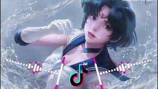 【抖音Tiktok】平凡之路 (BB鼓 DJ Breakbeat) | Con Đường Bình Phàm Remix | BGM TikTok Chill