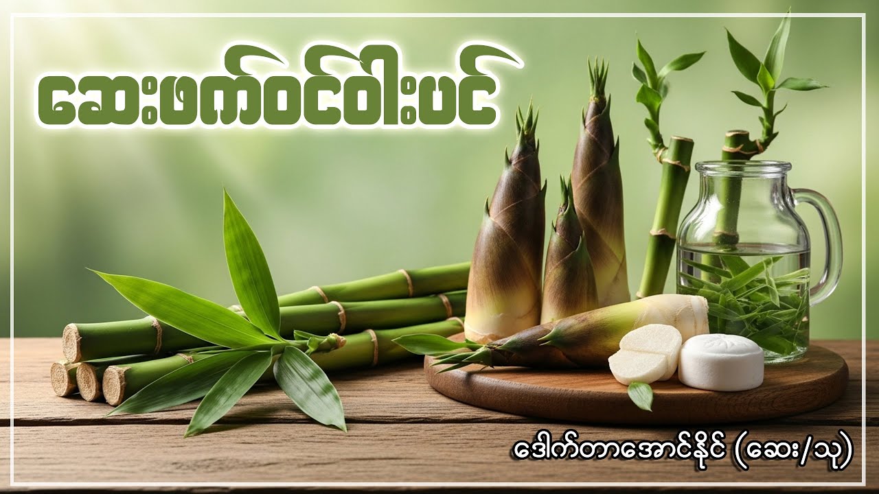 ဆေးဖက်ဝင်ဝါးပင် - ဒေါက်တာအောင်နိုင်(ဆေး/သု) | Herbal Wisdom Myanmar | Bamboo Health Benefits