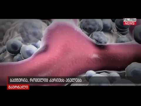 ბაქტერია, რომელიც კარიესს ანელებს