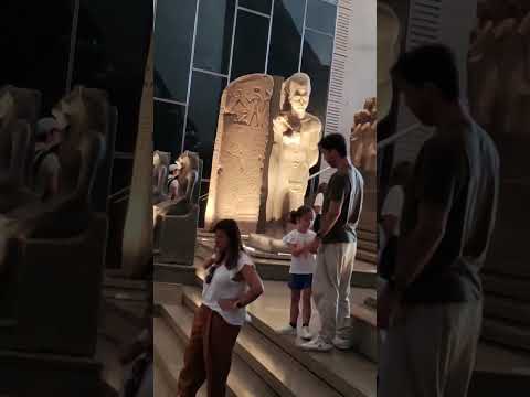 توت الدرج العظيم للمتحف المصري الكبير     