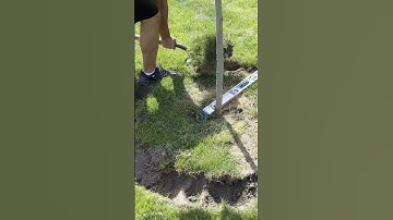 Edging and Mulching around Trees #garden