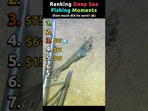 Ranking Deep Sea Fishing Moments Pt.6 | He earned ???$ 🤯 #offshore