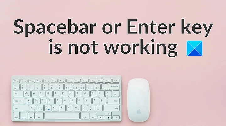 Spacebar or Enter key is not working in Windows 11/10