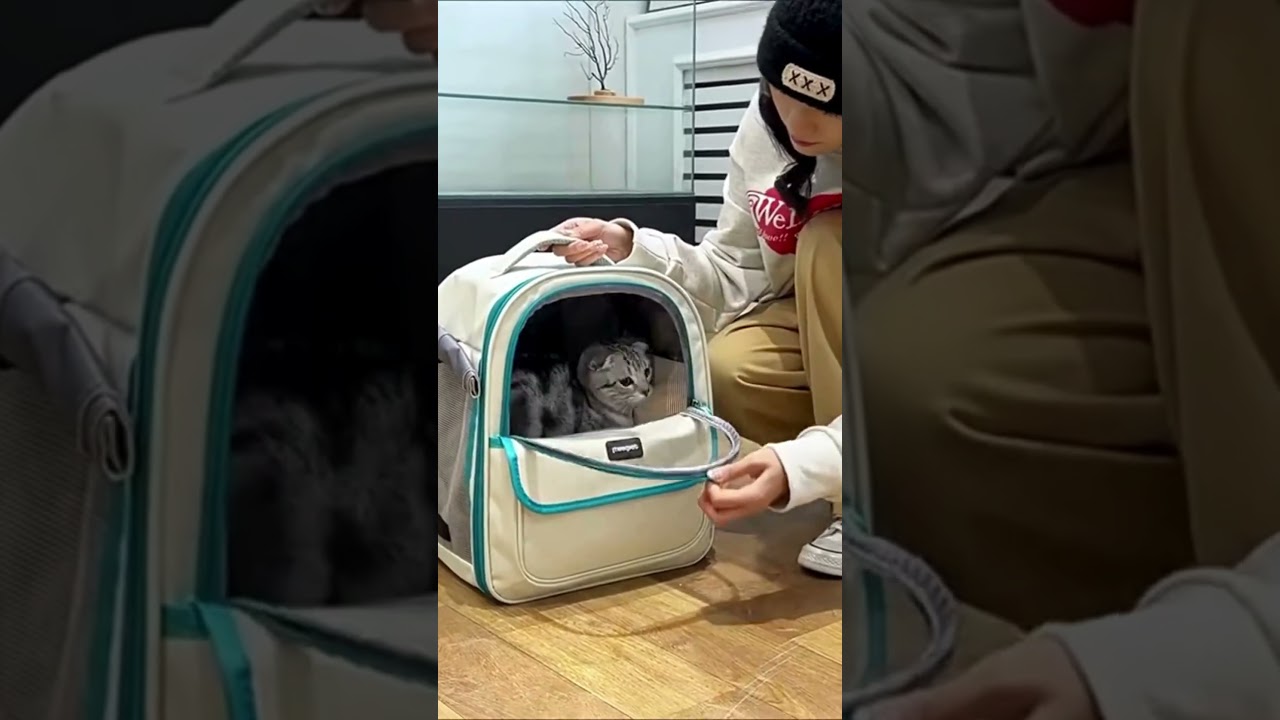 The Most Comfortable and Convenient Pet Carrier Backpack