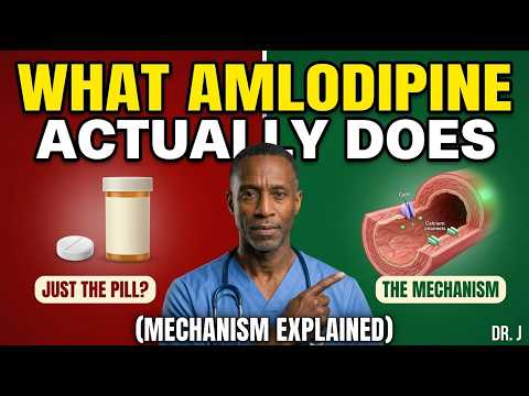 The Untold Truth About Amlodipine And Ibuprofen Interactions