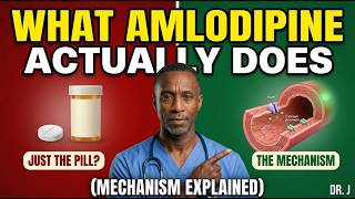 What Amlodipine Actually Does Inside Your Body (Mechanism Explained)