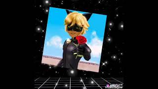 Intro Miraculous 231#