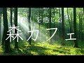 【森カフェ】癒しを感じる森カフェ　リラックス　作業用BGM 勉強用BGM　森で聴きたいジャズ