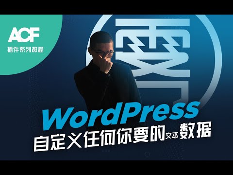 WordPress 自定义任何你要的文本数据【ACF自定义字段插件系列教程】