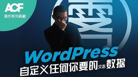WordPress 自定义任何你要的文本数据【ACF自定义字段插件系列教程】