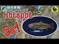 5x Diamond Rainbow Trout HOTSPOT | Call of the Wild: The Angler (PS5 4K)