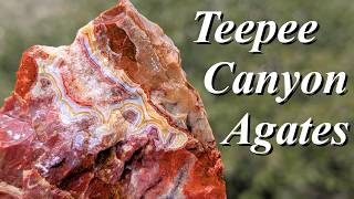 One of My FAVORITE Agates! Hunting for Gorgeous Teepee Canyon Fortification Agates in South Dakota!