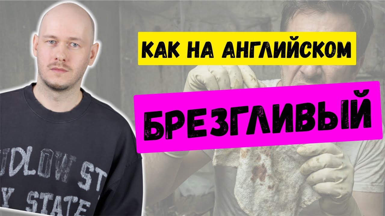 КАК СКАЗАТЬ ‘БРЕЗГЛИВЫЙ’ по-английски 