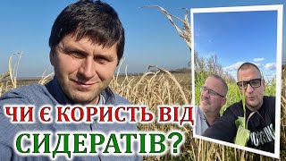 Чи є користь від сидератів?