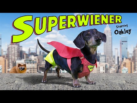 SUPERWIENER! - The