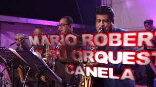 Video thumbnail of "Mario Roberto y su Orquesta Canela - Ingrata (Super Hit El Salvador) Ciudad El Triunfo 2018"