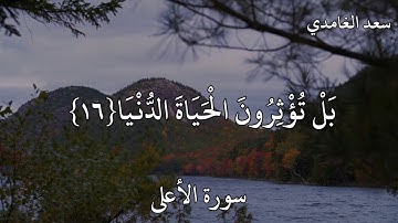 سعد الغامدي سورة الأعلى قد أفلح من تزكى