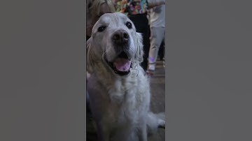 Reel from Brixton’s Got Rhythm 29/1/23. Full version on my channel