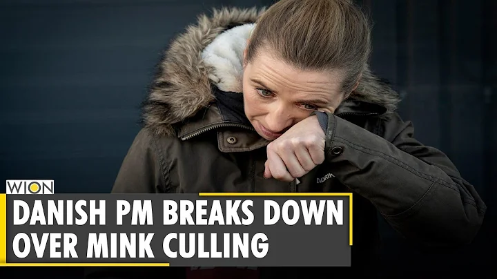 Danish Prime Minister Mette Frederiksen breaks dow...