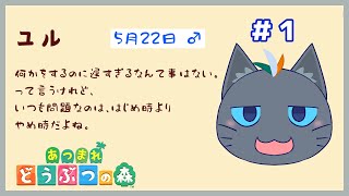 【あつまれ どうぶつの森】妖精無人島魔法【ユル・バウム】