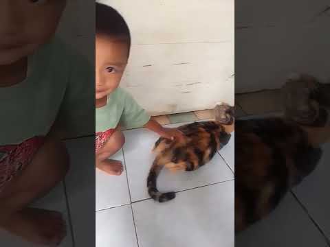Dimana ada kucing di situ Arkha usil 🤦#mang212 #frenblack #catlover #fypシ @Mang Ade channel