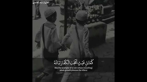 قرآن كريم بصوت سعد الغامدي ⚡💌 أجمل حالات واتس اب دينية مقاطع دينية قصيرة مقاطع انستقرام دينية