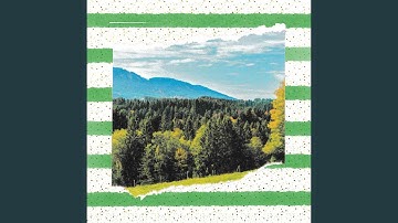 Joyful Backdrops for Comforting Stroll