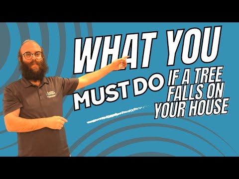 Does Insurance Cover Tree Damage To House